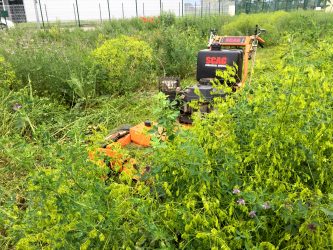 Jardin – AVANT Jardin - AVANT